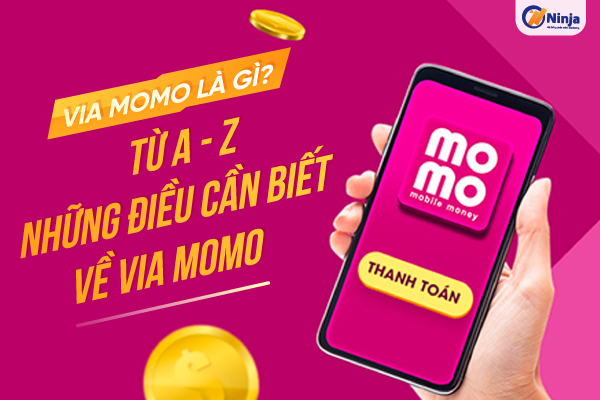 Giải đáp: Via momo là gì?