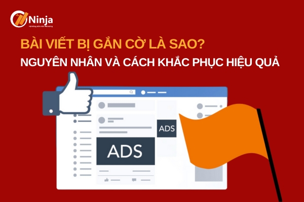 Bài viết bị gắn cờ là sao? Nguyên nhân và cách khắc phục hiệu quả